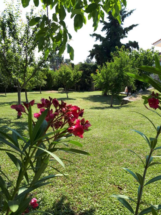 Villa George Afytos Esterno foto