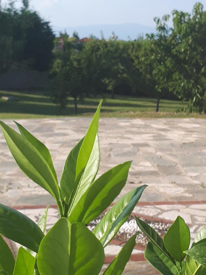 Villa George Afytos Esterno foto