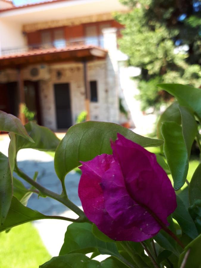 Villa George Afytos Esterno foto