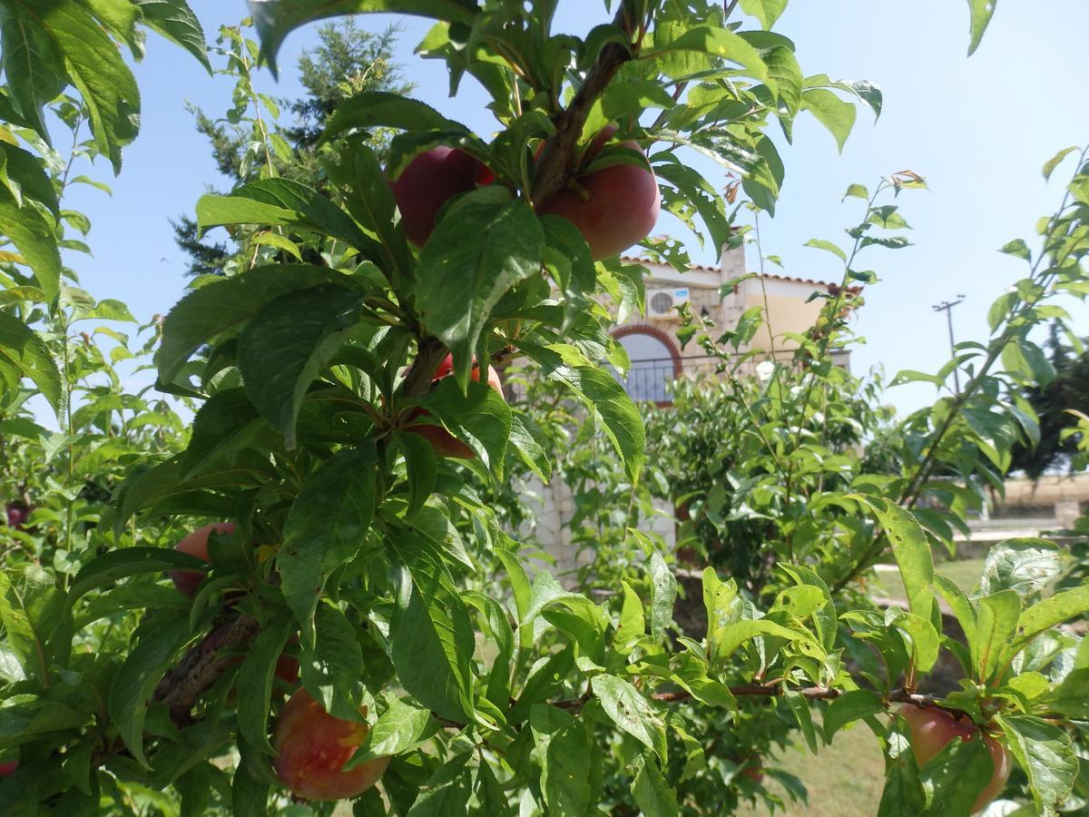 Villa George Afytos Esterno foto